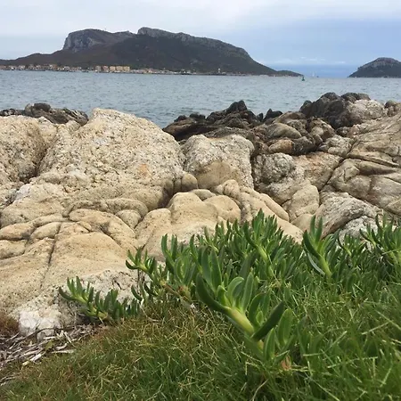 S Abba e Sa Pedra vista mare Appartamento